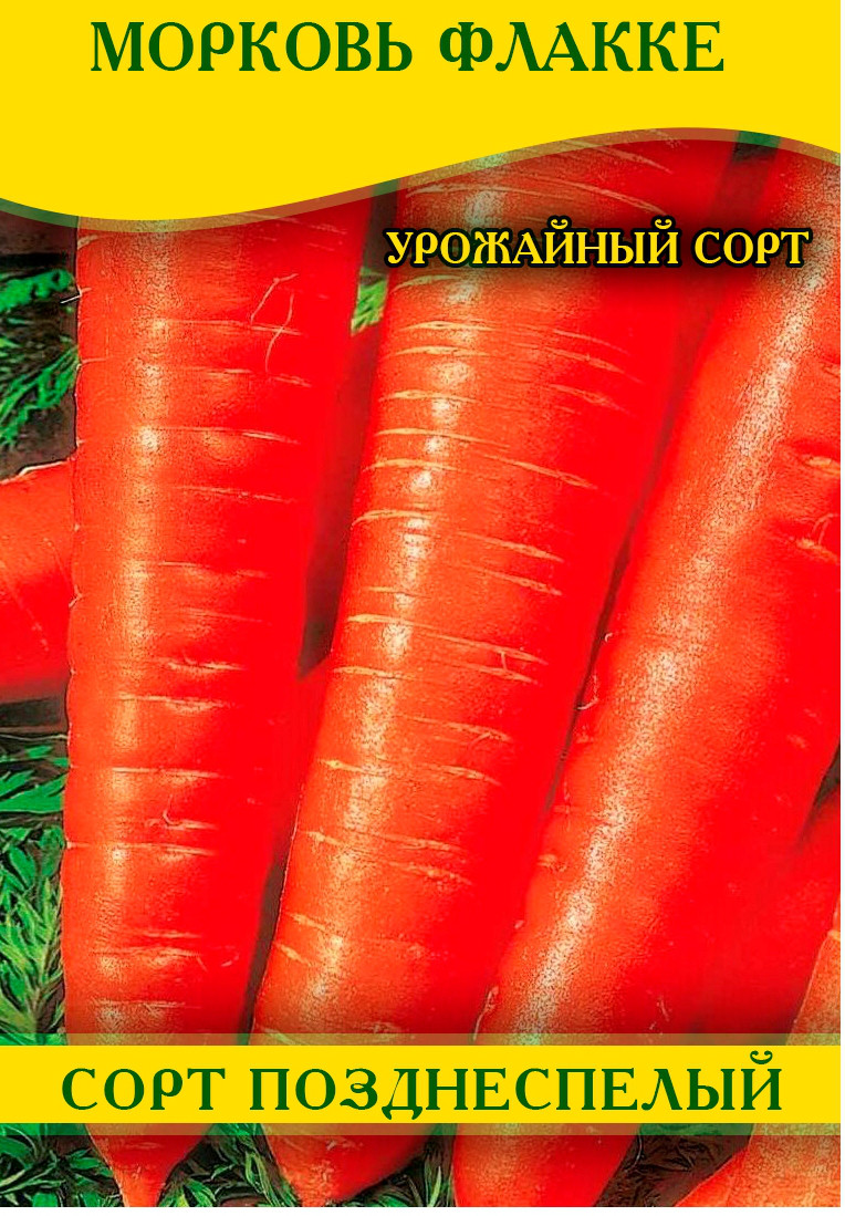 Насіння моркви Флакке, 1кг