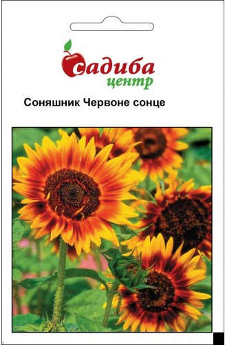 Семена цветов подсолнечник Красное солнце, 1 г, "Садыба центр", Украина - фото 1 - id-p494219590