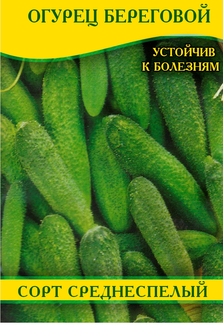 Семена огурца Береговой, 100г: купить оптом, цена 138,58 ₴/упаковка - 7 ...