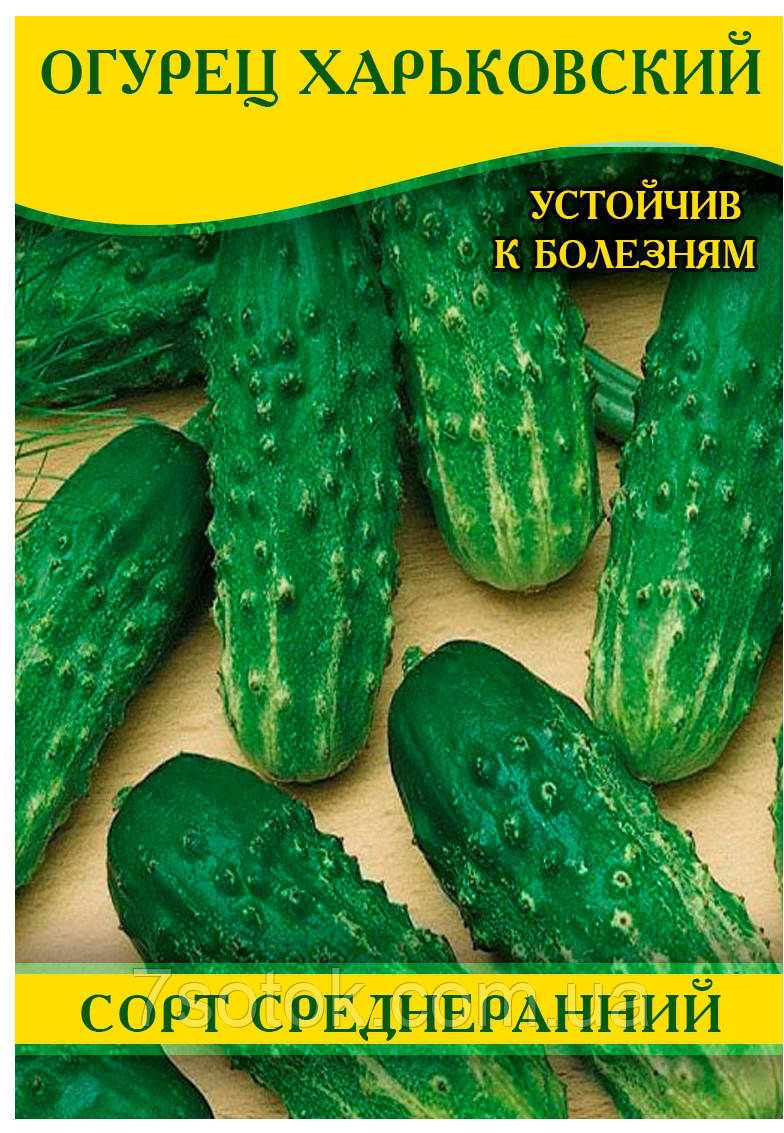 Насіння огірка Харківський, 0,5 кг