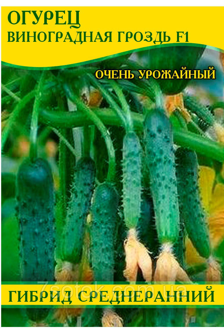 Насіння огірка Виноградний Крон F1 інкрустований, 100г