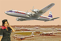 Самолет DC-7C Японские авиалинии. 1/144 RODEN 303
