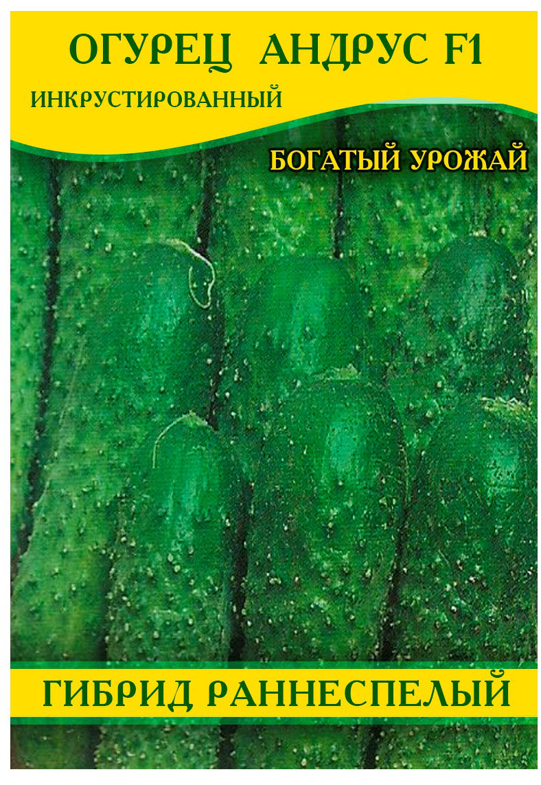 Насіння огірка Андрус F1, 0,5 кг