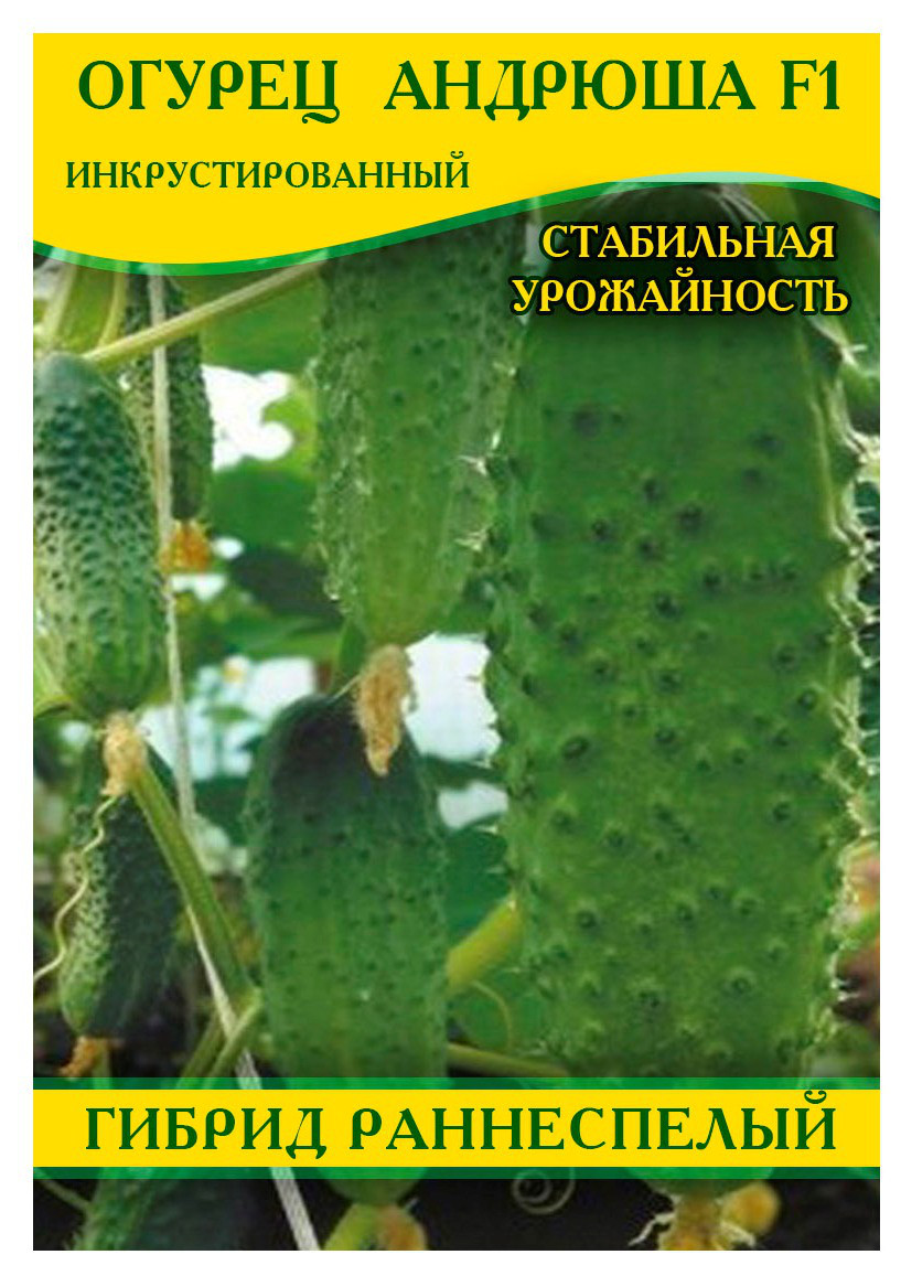 Насіння огірка Андрюша F1, 0,5 кг