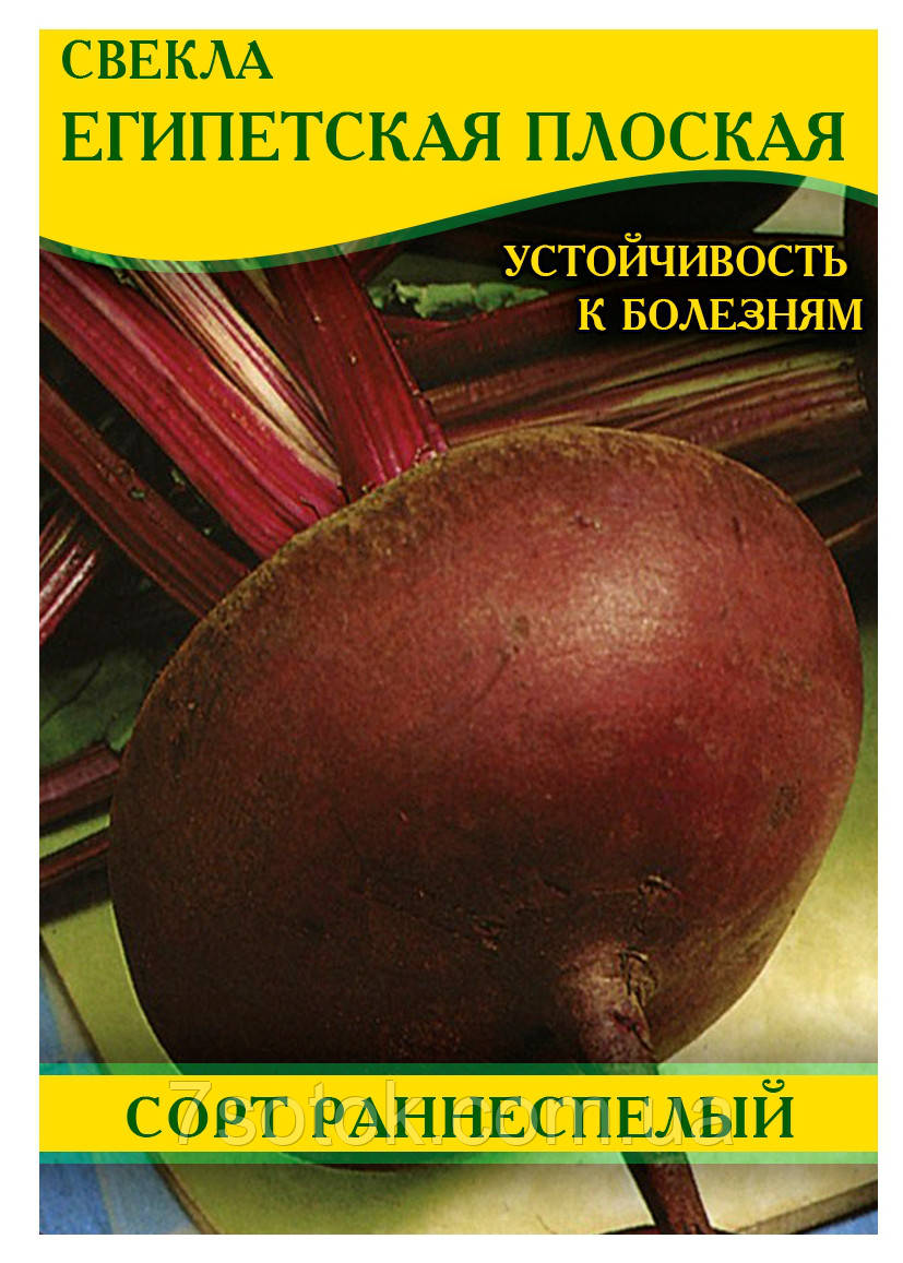 Насіння буряка, столовий Єгипетська Плоска, 0,5 кг