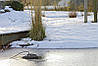 OASE Icefree Thermo 330 (з термостатом) нагрівач, антиобморожувач, обігрівач для ставка, водойми, озера, фото 2