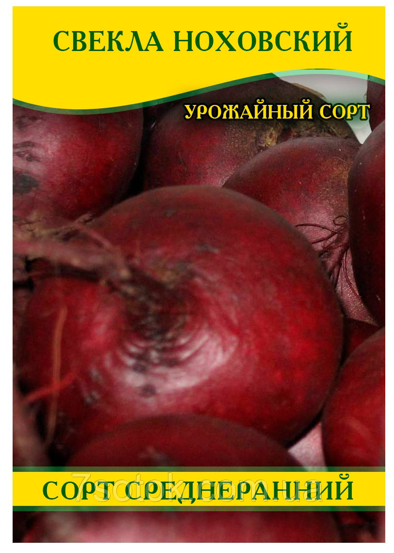 Насіння буряка столового Ноховський, 100г