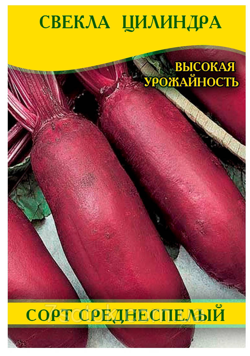 Насіння буряка, столовий Циліндра, 0,5 кг