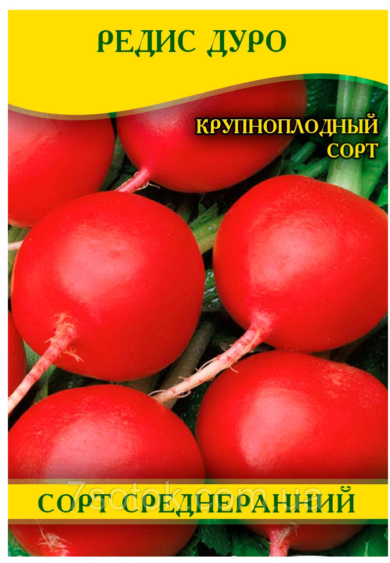 Семена редиса Дуро, 1кг - фото 1 - id-p178627860