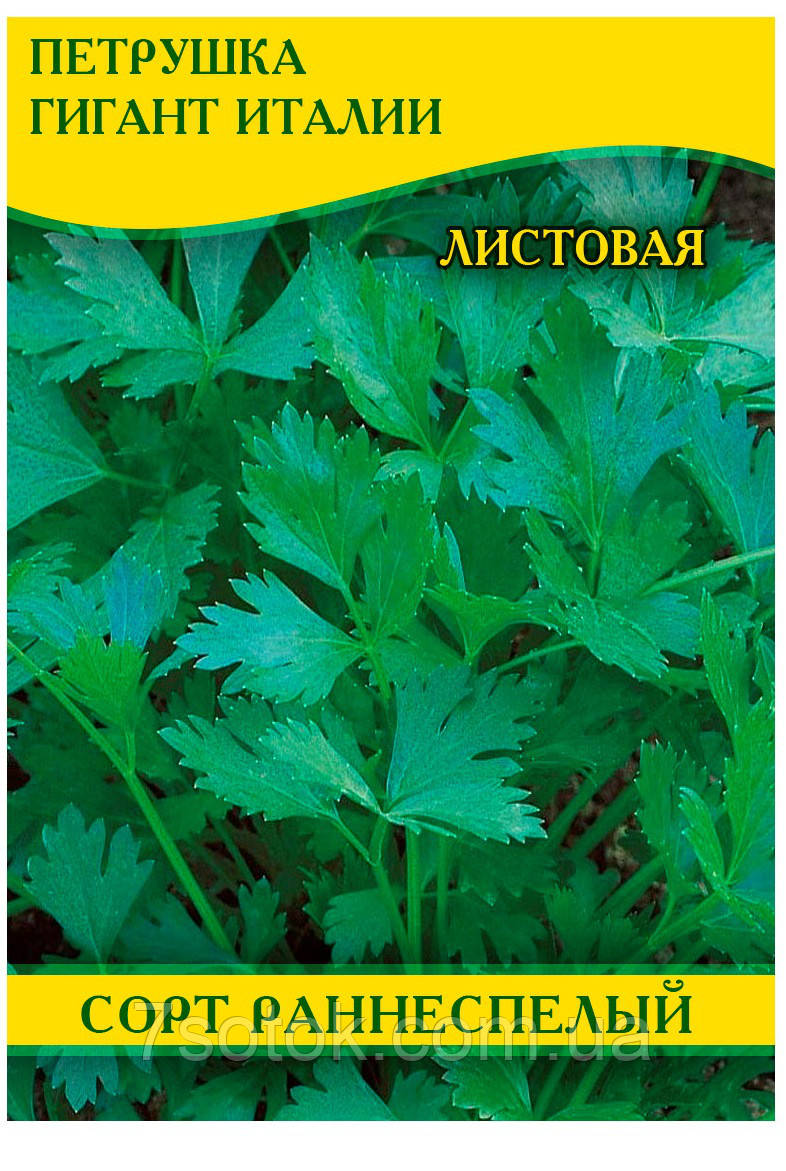 Насіння петрушки Гігант Італії листова, 100г