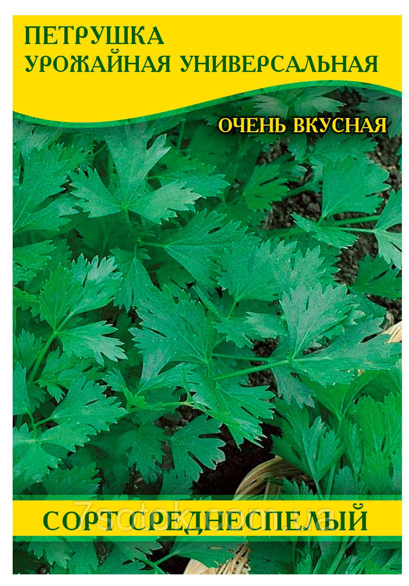 Насіння петрушки Урожайне універсальне, 100г