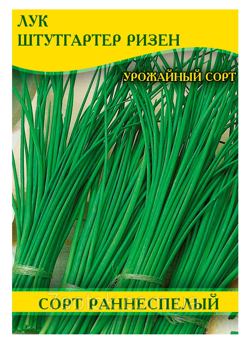 Купить Семена лука Штутгартер Ризен, 100г, цена 136.18 грн — Prom.ua ...