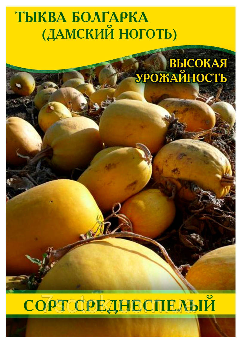 Насіння гарбуза Болгарка (Дамський Ніготь) на насіння, 0,5 кг