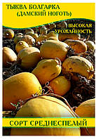 Насіння гарбуза Болгарка (Дамський Ніготь) на насіння, 0,5 кг