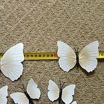 3D Стікери метелики наклейки з магнітами і з наклейкою на стіну білі 12штук набір, фото 3