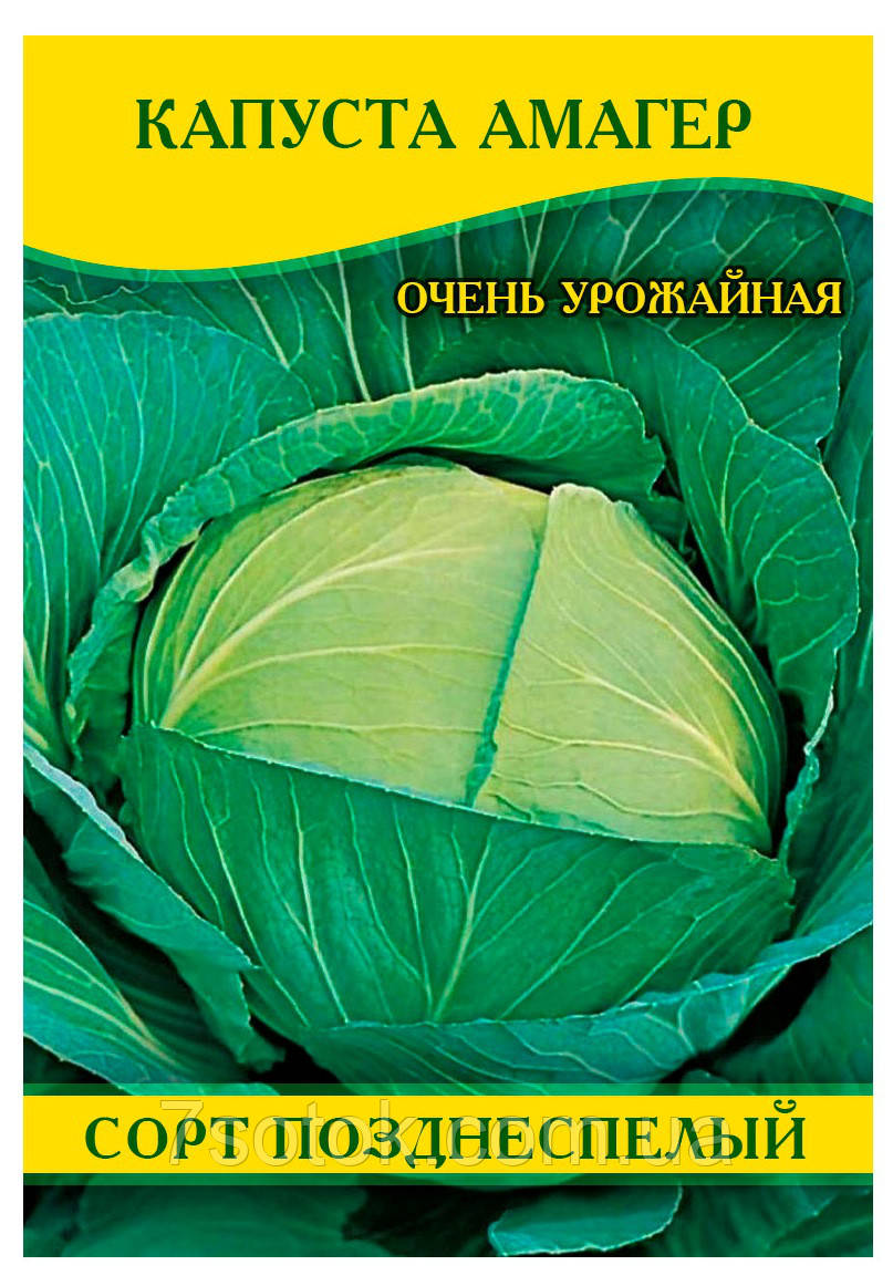 Насіння капусти Амагер, 0,5 кг