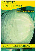 Насіння капусти Білосніжка, 0,5 кг