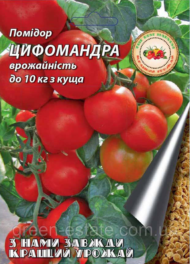 Помідор Цифомандра (Томатне дерево), 0,1 г.