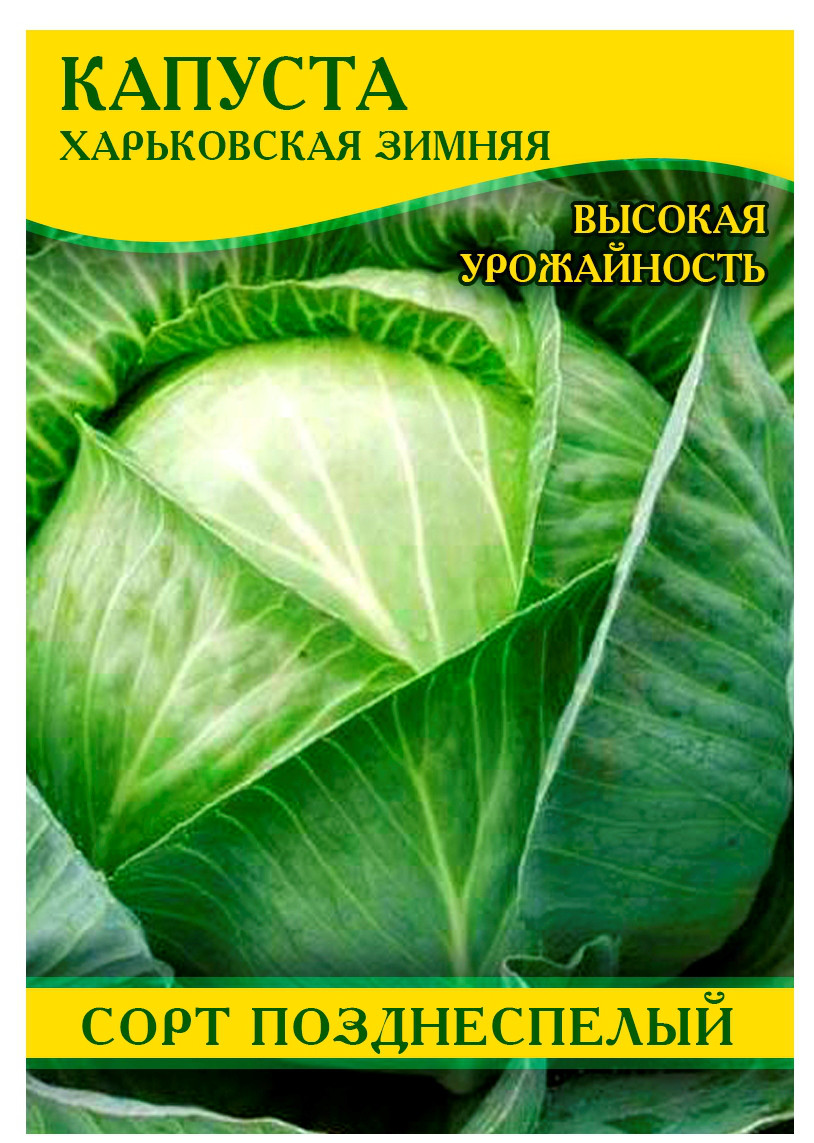 Насіння капусти Харківська зимова, 0,5 кг