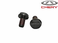 Болт M10x19 корзини зчеплення Chery Amulet A11-1601111