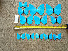 3D метелики наклейки з магнітами і з наклейкою на стіну блакитний 12штук набір, фото 3