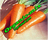 Насіння моркви Ред Коред, TM Spark seeds (США), проф.пакет 500 грамів, фото 2
