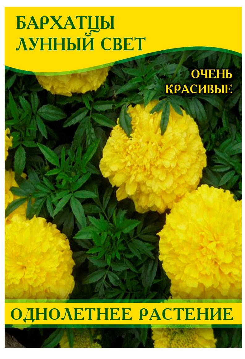 Насіння Чорнобривці Місячне Світло, 50г