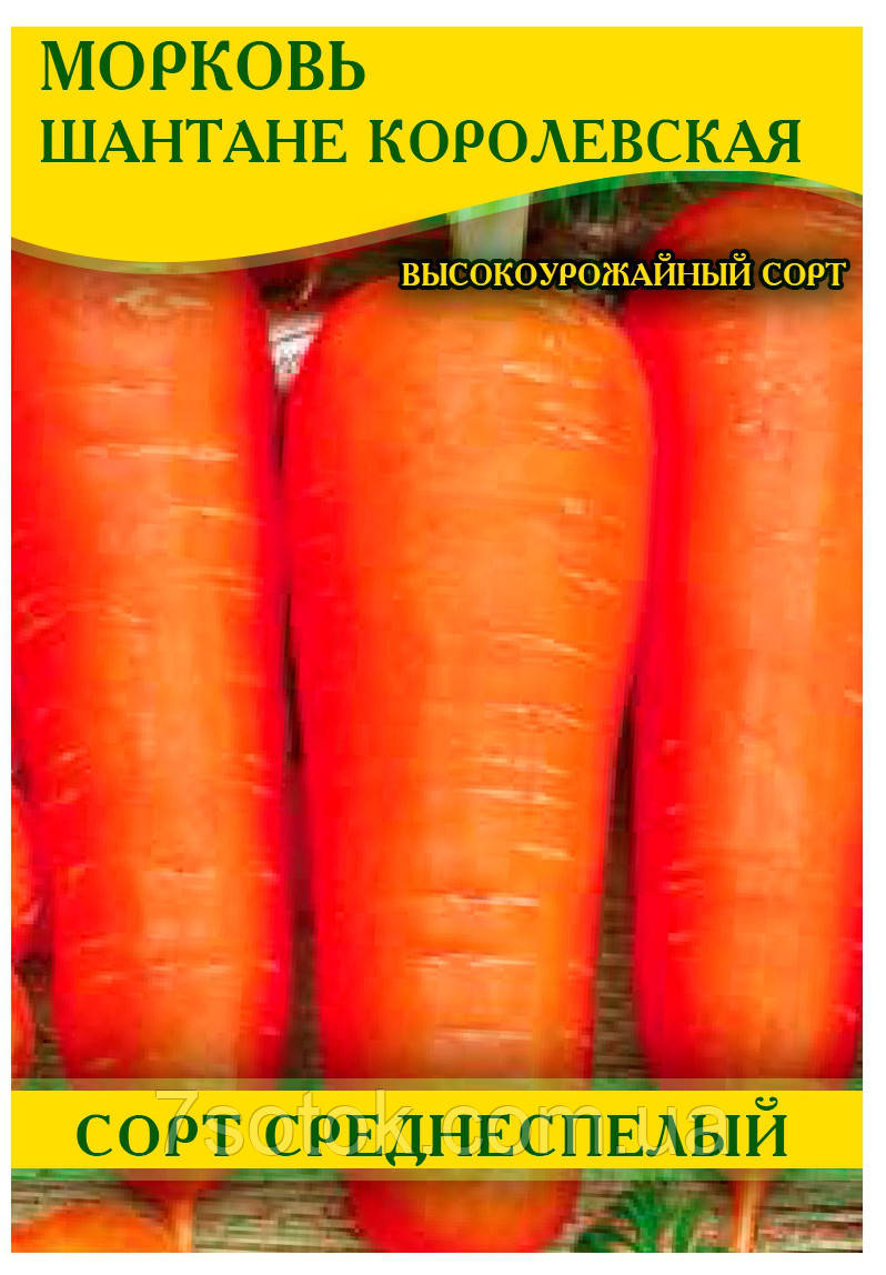  моркови Шантане Королевская, 100г:  оптом, цена 48,12 .