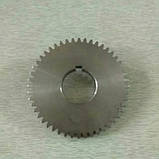 Шестерня балансувального валу Z-48 дизельного двигуна 178f, фото 2