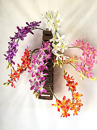 Гілка орхідеї Ангрекоиды 75 см