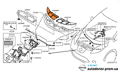 Накладка зябра капота права Nissan Leaf AZE0 (13-17) 65836-3NA1A