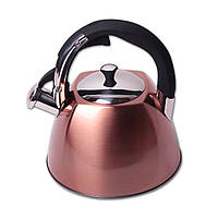 Чайник Kamille 3л з нержавіючої сталі зі свистком 0697