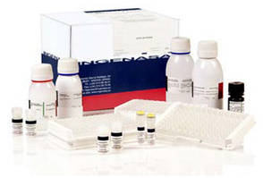 Ingezim APP Mix(крім 10,12,13,14)Тест-система для підрахунку антитіл до вірусу Actinobacillus pleuropneumoniea