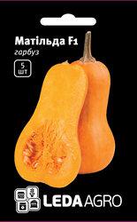Насіння гарбуза Матільда F1, 5 шт., ТМ "ЛедаАгро"
