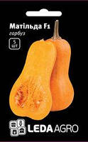 Насіння гарбуза Матільда F1, 5 шт., ТМ "ЛедаАгро"