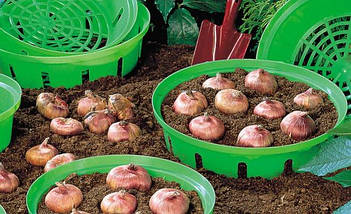 Садові аксесуари