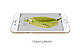 Захисне скло для Iphone 7/8 (5D) (White) - фото 6 - id-p773805112