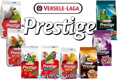 Versele-laga