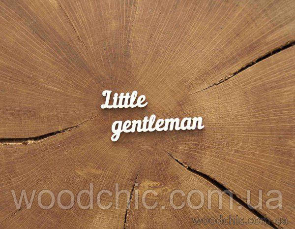 Little genteleman