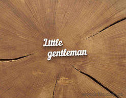 Чипборд напис Чіпборд напис Little genteleman 6 см.