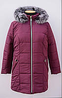 Женская,зимняя куртка с меховой натуральной,опушкой больших размеров 62+