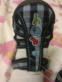 Фотоотчет. 17