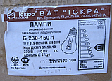 Лампа розжарювання (ЛОН) 150 Вт цоколь Е27 "Іскра" Львів, фото 6