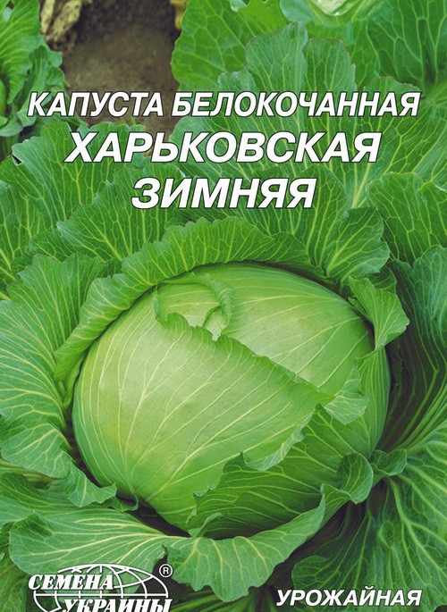 Семена капусты белокочанной Харьковская Зимняя 10 г, Семена Украины - фото 1 - id-p605718536