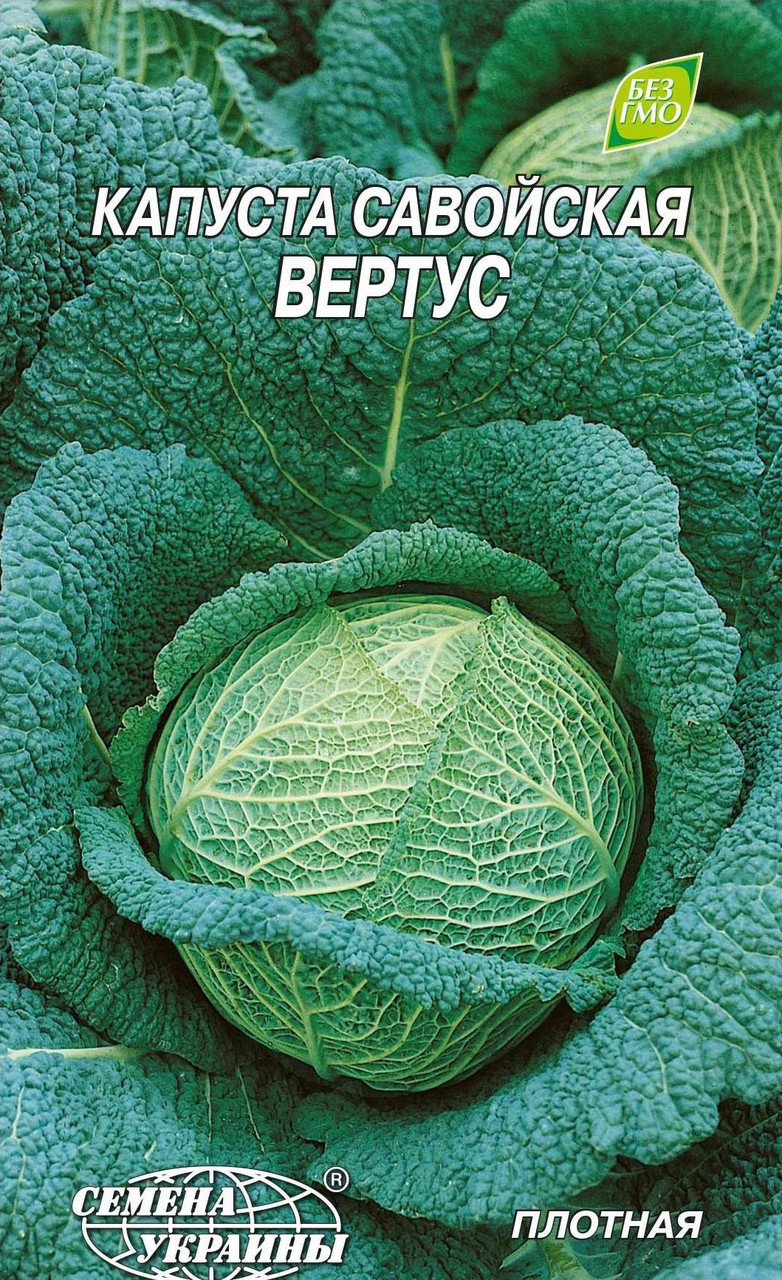 Семена капусты савойской Вертус ,среднеспелая 1 г (мини-пакет), "Семена Украины" - фото 1 - id-p605719745