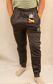 Штани спортивні чоловічі під манжет — зима Штани зимові Ao Longcom (Темно сірий колір)