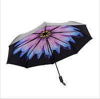 Жіночий парасольку СС170008
