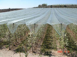 Сітка від граду 4*25м Agreen