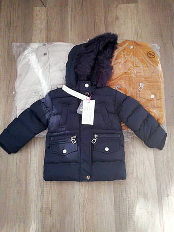 Куртки зимові на дівчаток оптом, Nature, 12-36 рр, фото 2