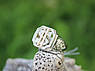 Перстень чоловічий срібний з золотом Долар, фото 2